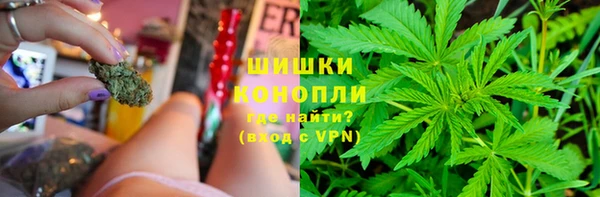 спайс Алексин
